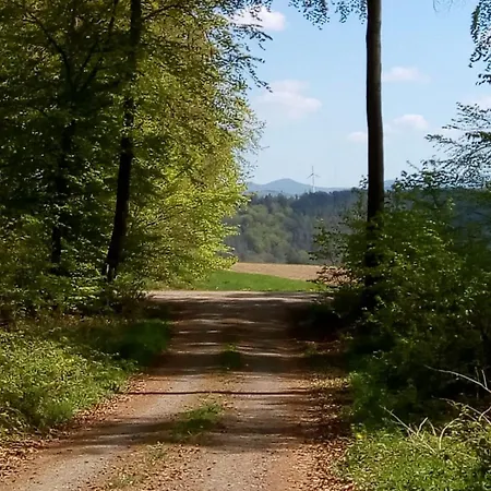 Nurdachhaus Twistesee 126