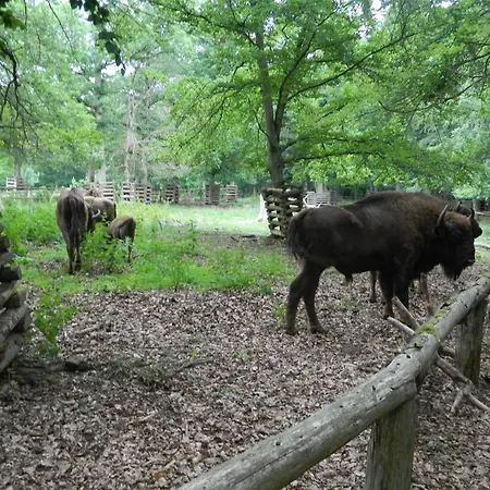 Twiste Retreat 126 Vakantiehuis Bad Arolsen